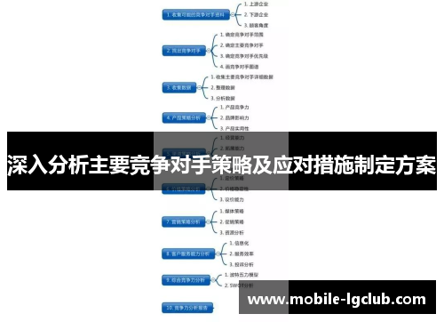 深入分析主要竞争对手策略及应对措施制定方案