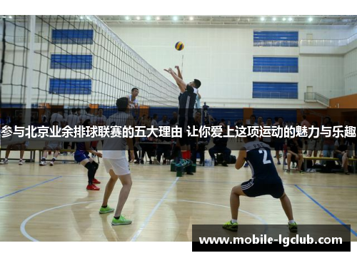 参与北京业余排球联赛的五大理由 让你爱上这项运动的魅力与乐趣