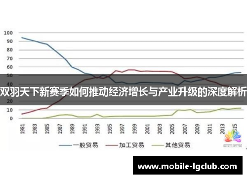 双羽天下新赛季如何推动经济增长与产业升级的深度解析