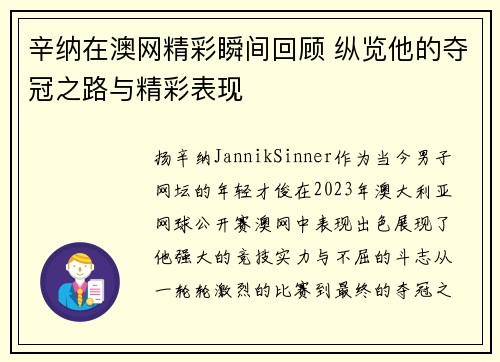 辛纳在澳网精彩瞬间回顾 纵览他的夺冠之路与精彩表现