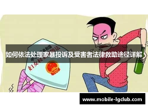 如何依法处理家暴投诉及受害者法律救助途径详解