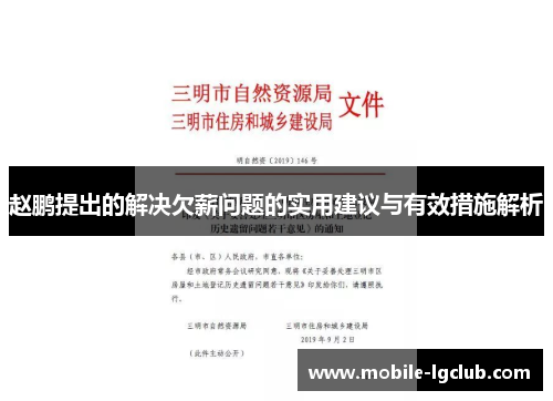 赵鹏提出的解决欠薪问题的实用建议与有效措施解析