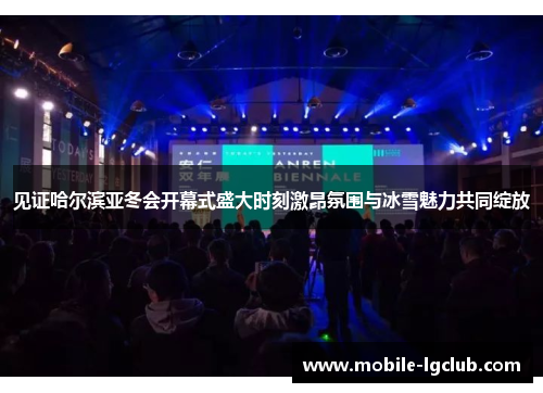 见证哈尔滨亚冬会开幕式盛大时刻激昂氛围与冰雪魅力共同绽放