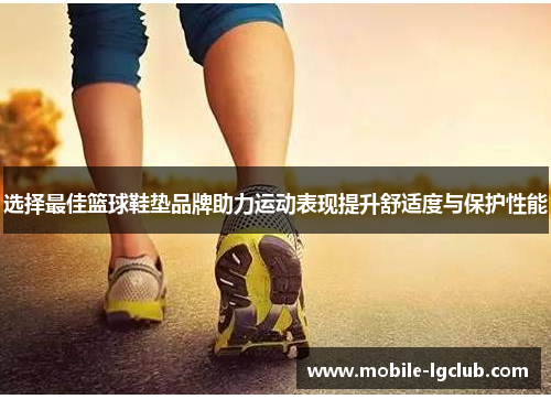 选择最佳篮球鞋垫品牌助力运动表现提升舒适度与保护性能