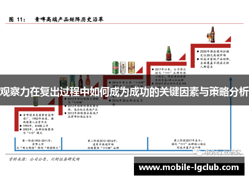 观察力在复出过程中如何成为成功的关键因素与策略分析 观察力在复出过程中如何成为成功的关键因素与策略分析