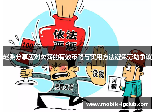 赵鹏分享应对欠薪的有效策略与实用方法避免劳动争议