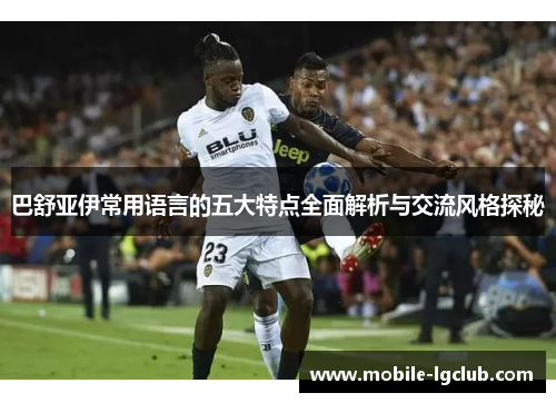 巴舒亚伊常用语言的五大特点全面解析与交流风格探秘