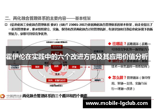 霍伊伦在实践中的六个改进方向及其应用价值分析 霍伊伦在实践中的六个改进方向及其应用价值分析