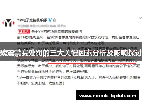 魏震禁赛处罚的三大关键因素分析及影响探讨