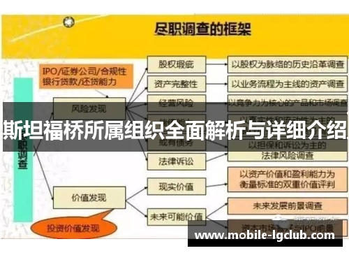 斯坦福桥所属组织全面解析与详细介绍