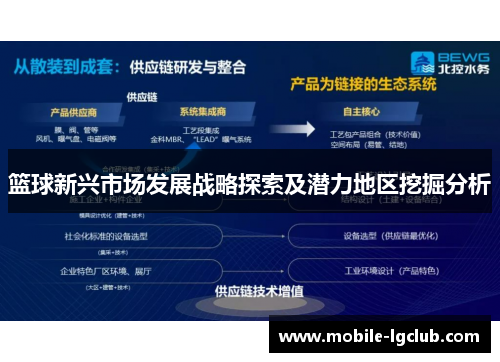 篮球新兴市场发展战略探索及潜力地区挖掘分析